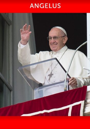 Papa: do amor a Deus aprendemos a servir o próximo, como Madre Teresa de Calcultá